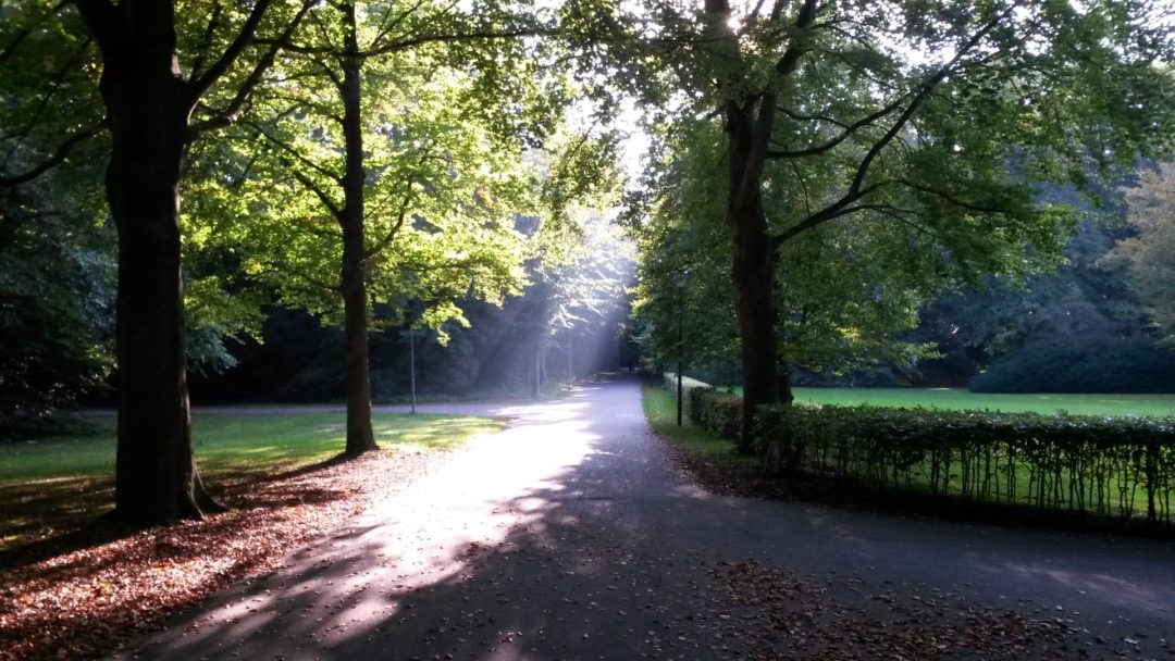 Geschiedenis Gereformeerde Gemeente Den Haag Scheveningen